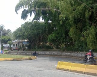 Proyecto de mega vivero en el parque El Bosque se tiene que reiniciar