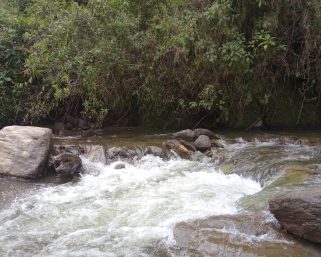 Desmienten información sobre suspensión del servicio de acueducto por contaminación del agua