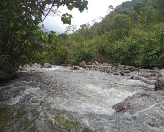 Aceptación de demanda de nulidad de PCH es un paso de análisis sobre viabilidad de  concesiones