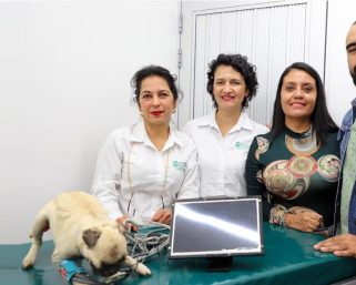 En Antioquia crearon el primer perro robot para la educación en medicina veterinaria en Colombia