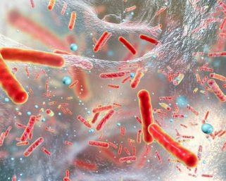 En Boyacá, Bogotá, Valle del Cauca y la Costa Atlántica ya circula la bacteria Klebsiella
