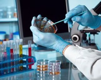 Se registra la primera muerte por el virus Alaskapox en Estados Unidos