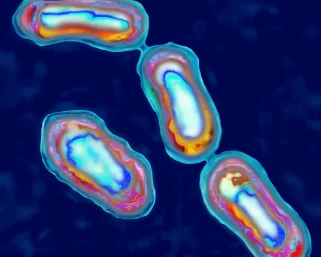 Caso inusual de peste bubónica en humano fue reportado en Oregón, Estados Unidos