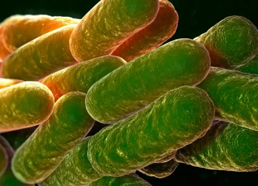 Bacteria amazónica con propiedades anticancerígenas fue hallada por científicos en Brasil
