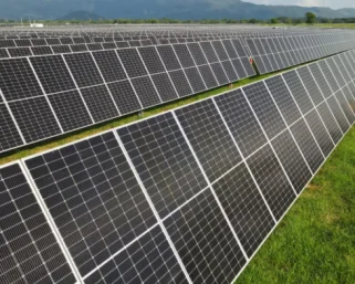 Ya está en operación el parque solar fotovoltaico Tepuy en La Dorada, Caldas