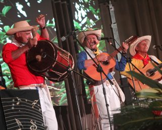 Lanzan convocatoria de estímulos para proyectos culturales en Armenia