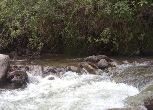 Implementan medidas para preservar el agua en Filandia, Circasia y Salento ante el aumento de temperaturas