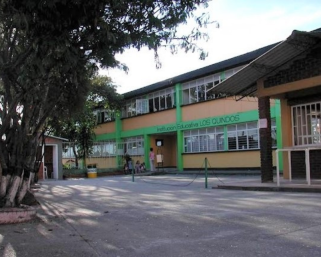 Ataque de abejas en la institución educativa Los Quindos de Armenia deja 11 estudiantes afectados