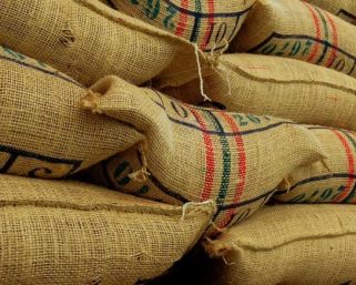 Producción cafetera alcanzó récord de 13.9 millones de sacos en 2024, con alza del 47 % en diciembre