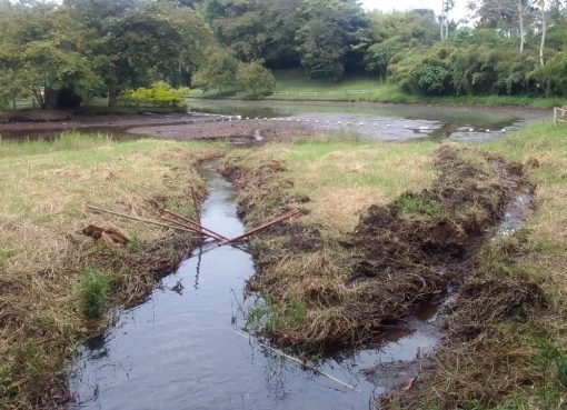 ‘Guardianes de la Quebrada’: una apuesta por la conservación ambiental de la quebrada Mal Paso de Armenia