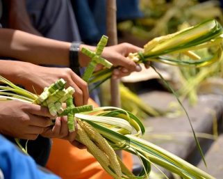 Semana Santa con conciencia ambiental: CRQ y Diócesis promueven alternativas sostenibles para evitar el uso de la palma de cera