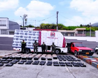 Incautados 358 kilos de marihuana en zona rural de Buenavista