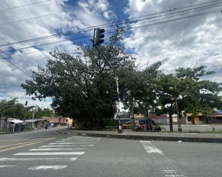Semáforos del barrio Nuevo Armenia fuera de funcionamiento: Setta busca soluciones