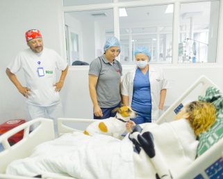 Moca, la perrita que acompaña a pacientes en cuidados intensivos como parte de una estrategia de apoyo emocional con animales