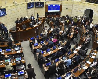 Hundida en el Senado la consulta popular 2.0