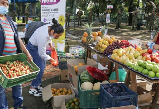 Del 5 al 8 de junio, el campo quindiano será protagonista con los mercados campesinos y su apuesta por la economía rural