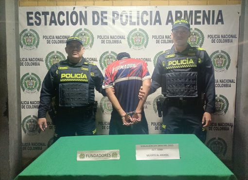 Hombre fue capturado tras matar a un guatín en el norte de Armenia