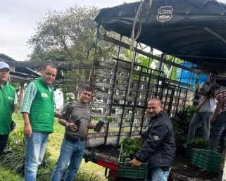 Con insumos y asistencia técnica, 28 familias campesinas reciben apoyo para cultivar café de calidad en Armenia