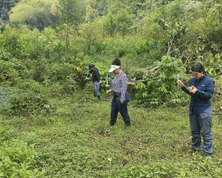 Dos nuevas especies de mosquitos transmisores de malaria fueron detectadas en Génova y Pijao