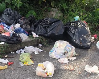 Historiador quindiano denuncia que Urbaser no recoge la basura en el condominio campestre Rancho La Soledad de Montenegro, pero sí cobra el servicio