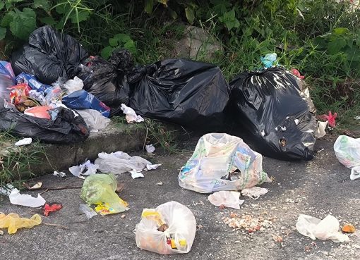 Historiador quindiano denuncia que Urbaser no recoge la basura en el condominio campestre Rancho La Soledad de Montenegro, pero sí cobra el servicio
