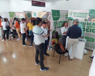 Quindío impulsa el campo: 13 asociaciones rurales fortalecidas en proceso de Alianzas Productivas