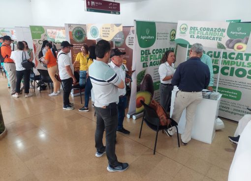 Quindío impulsa el campo: 13 asociaciones rurales fortalecidas en proceso de Alianzas Productivas