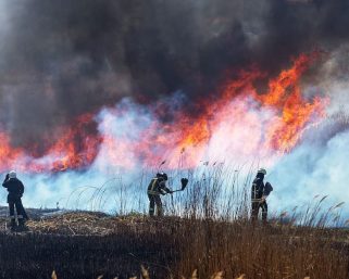 Expertos de Harvard advierten que la exposición al humo de los incendios forestales podría afectar al sistema inmunológico