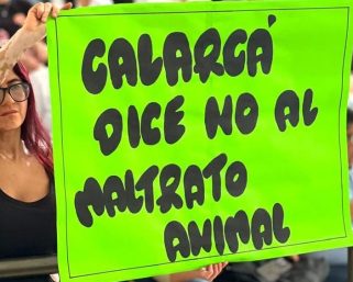 Concejo de Calarcá aprobó proyecto que deroga la obligatoriedad de realizar cabalgata en las fiestas aniversarias