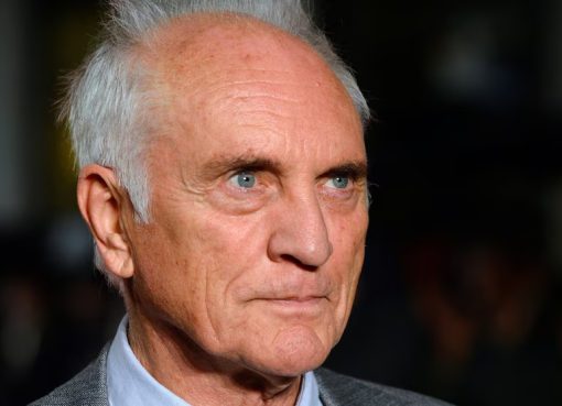 Falleció a sus 87 años el actor Terence Stamp, reconocido por interpretar al ‘General Zod’ de Superman