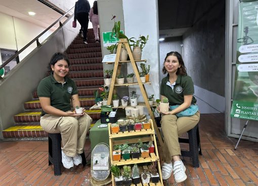 Mercado campesino se tomó el parque Fundadores de Armenia: una apuesta por la economía rural, la cultura y el empleo formal en la ciudad