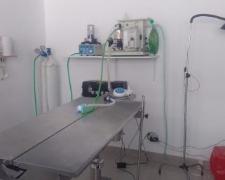 Inaugurada en Armenia la clínica veterinaria UGC+Pet Lovers