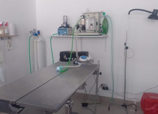 Inaugurada en Armenia la clínica veterinaria UGC+Pet Lovers