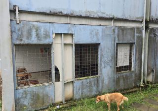 ¿Qué se evidenció en el debate sobre infraestructura educativa en Armenia?