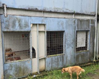 ¿Qué dejó el debate sobre infraestructura educativa en Armenia?