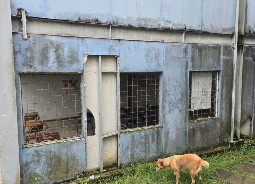 ¿Qué se evidenció en el debate sobre infraestructura educativa en Armenia?