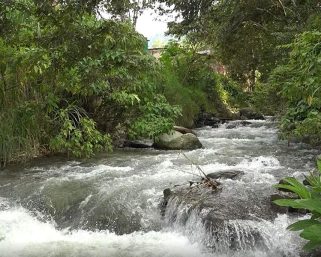 EMCA le apunta a la modificación del PSMV para fortalecer el saneamiento hídrico en Calarcá