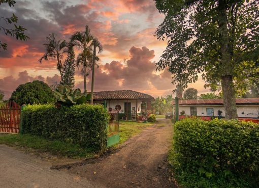 Calarcá estrena la plataforma “Ciudad sobre letras”: una apuesta de $13.000 millones por el Paisaje Cultural Cafetero