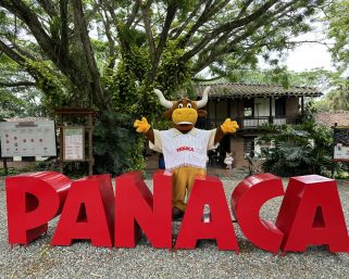 Crisis en Panaca: Trabajadores denuncian impago de salarios y primas en plena temporada navideña