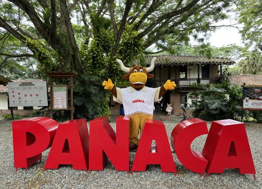 Crisis en Panaca: Trabajadores denuncian impago de salarios y primas en plena temporada navideña