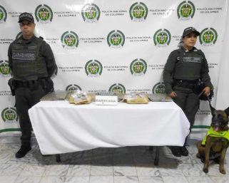 El olfato de “Balton” no falla: frustran envío de estupefacientes en la vía La Paila – Armenia