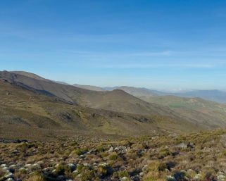 El agua tiene quien la defienda: 2025, el año en que las comunidades blindaron los páramos