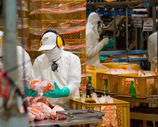 Conozca las fechas de pagos del Impuesto de Industria y Comercio en el 2026