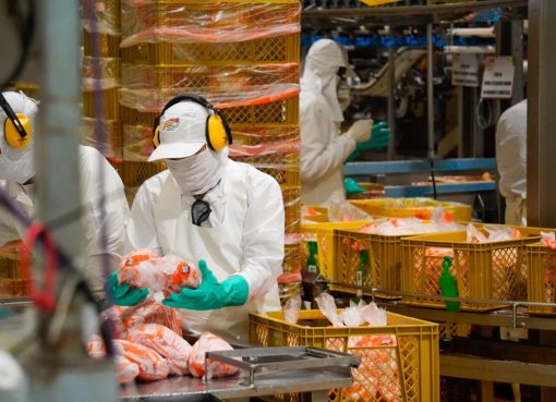 Conozca las fechas de pagos del Impuesto de Industria y Comercio en el 2026