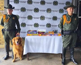 La canina “Canela” neutraliza cargamento de pólvora con destino a Circasia