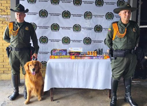 La canina “Canela” neutraliza cargamento de pólvora con destino a Circasia
