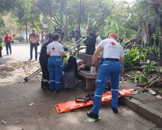 Caída de una rama en el Parque Fundadores deja a una mujer con fractura de columna