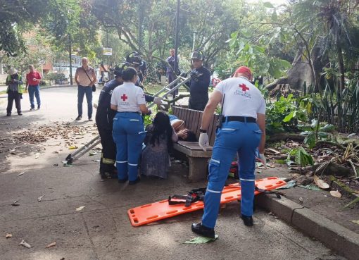 Caída de una rama en el Parque Fundadores deja a una mujer con fractura de columna