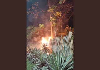 Controlan conato de incendio en el Jardín Botánico del Quindío provocado por uso de pólvora