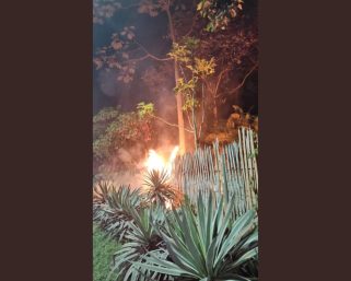 Controlan conato de incendio en el Jardín Botánico del Quindío provocado por uso de pólvora